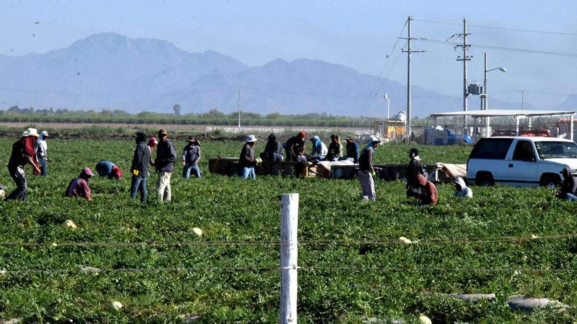 Jornaleros Agricolas Costa de Hermosillo-Carlos Villalba (13)